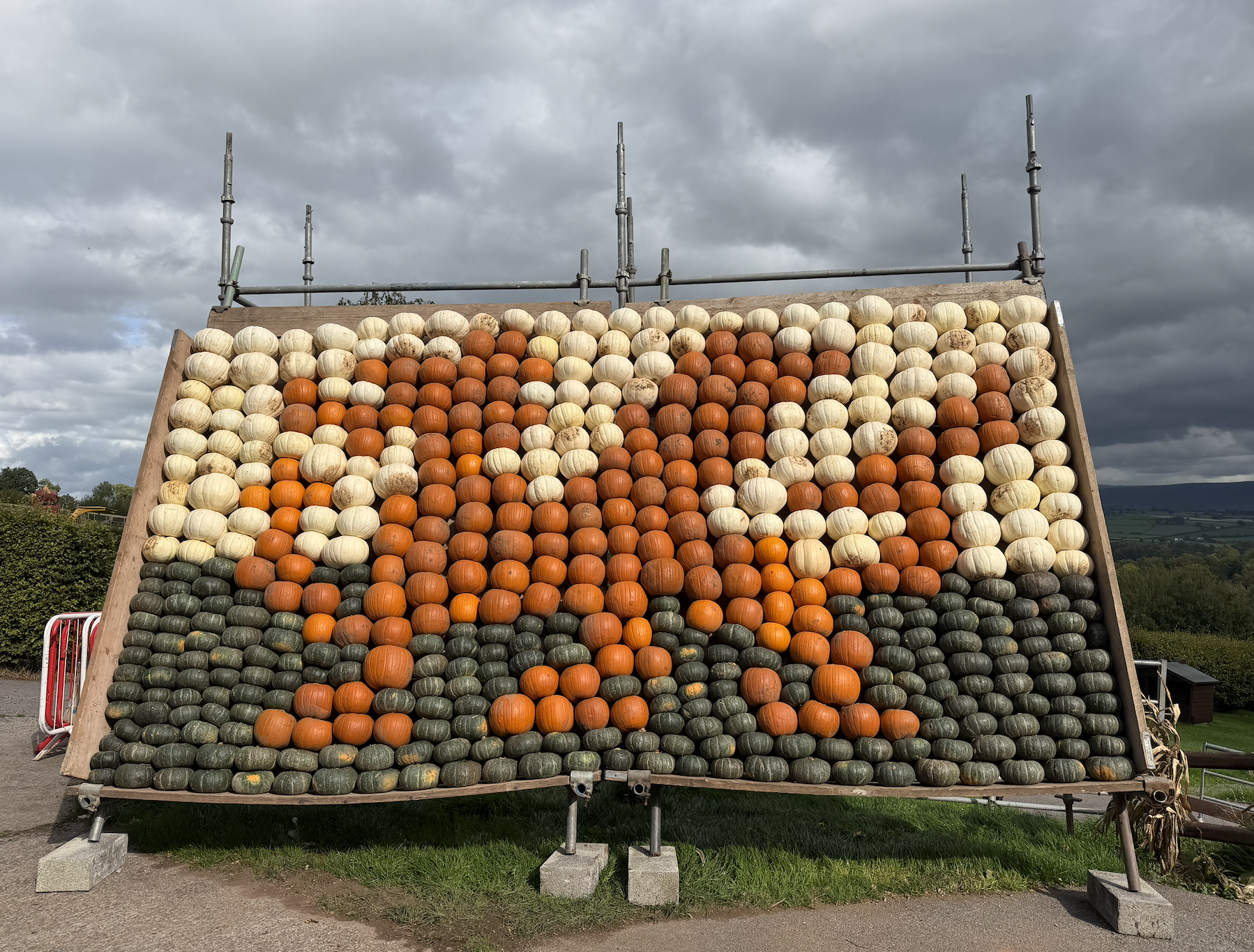 Cantref Adventure Farm Giant Welsh Flag Made Out Of Pumpkins