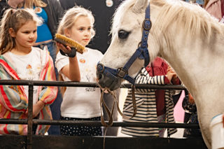An image of two young girls waiting in line to groom a white pony at Cantref Adventure Farm.