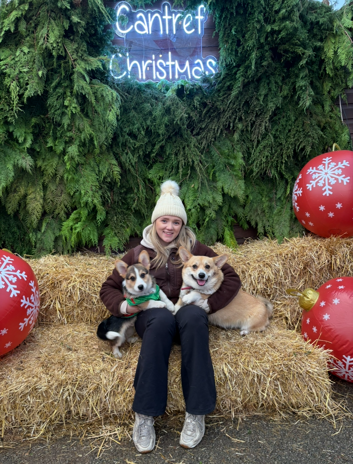 Santa Paws Cantref