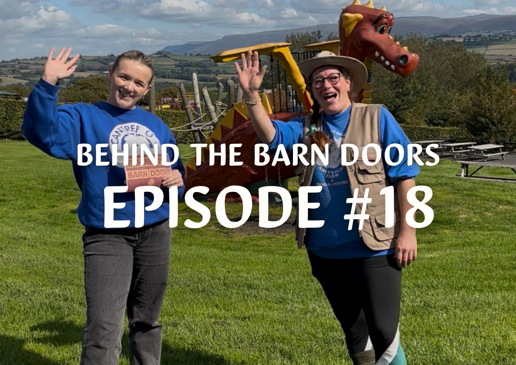 Website Behind The Barn Door Blog (8)