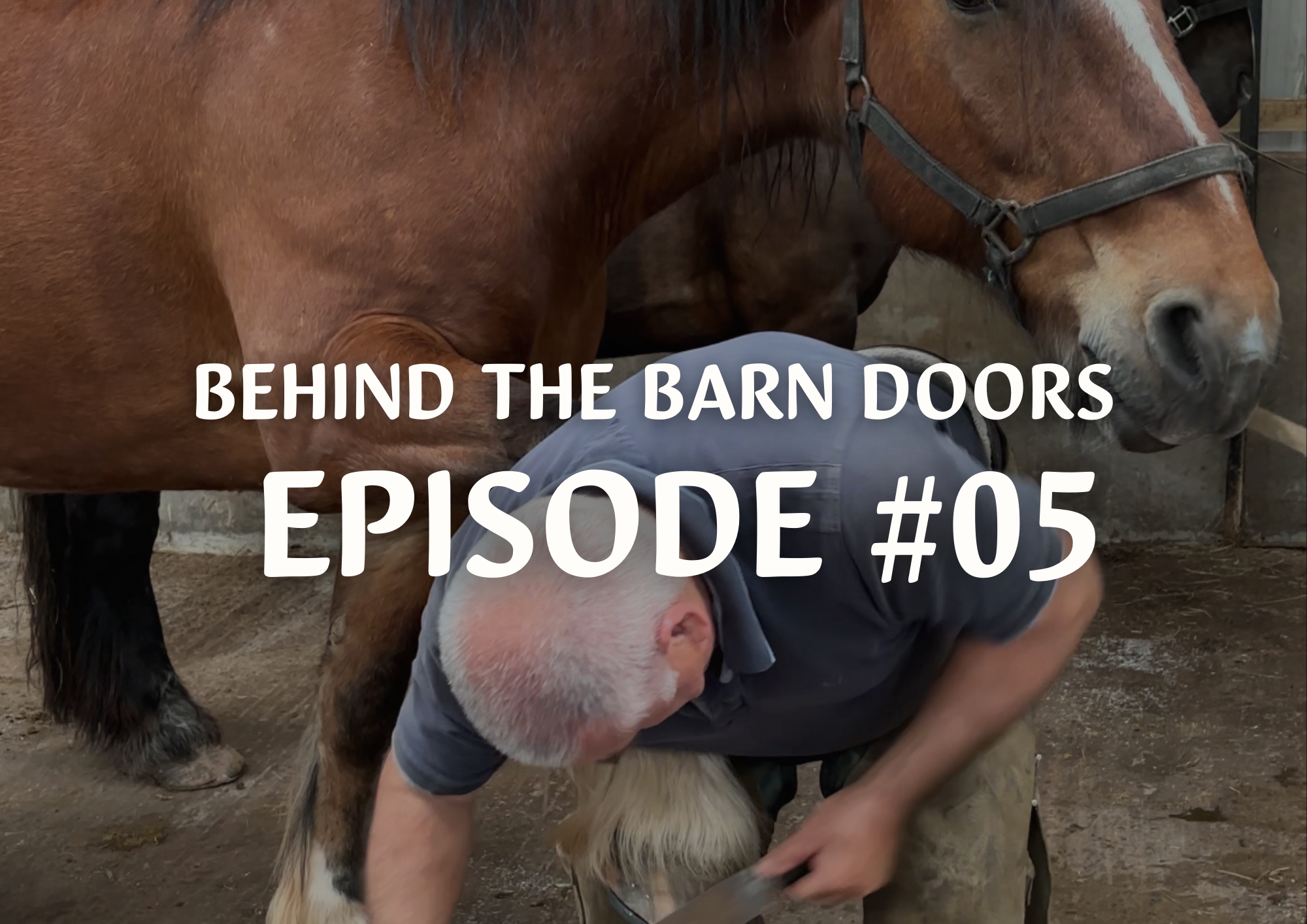 Behind The Barn Doors Episode 5 (1)