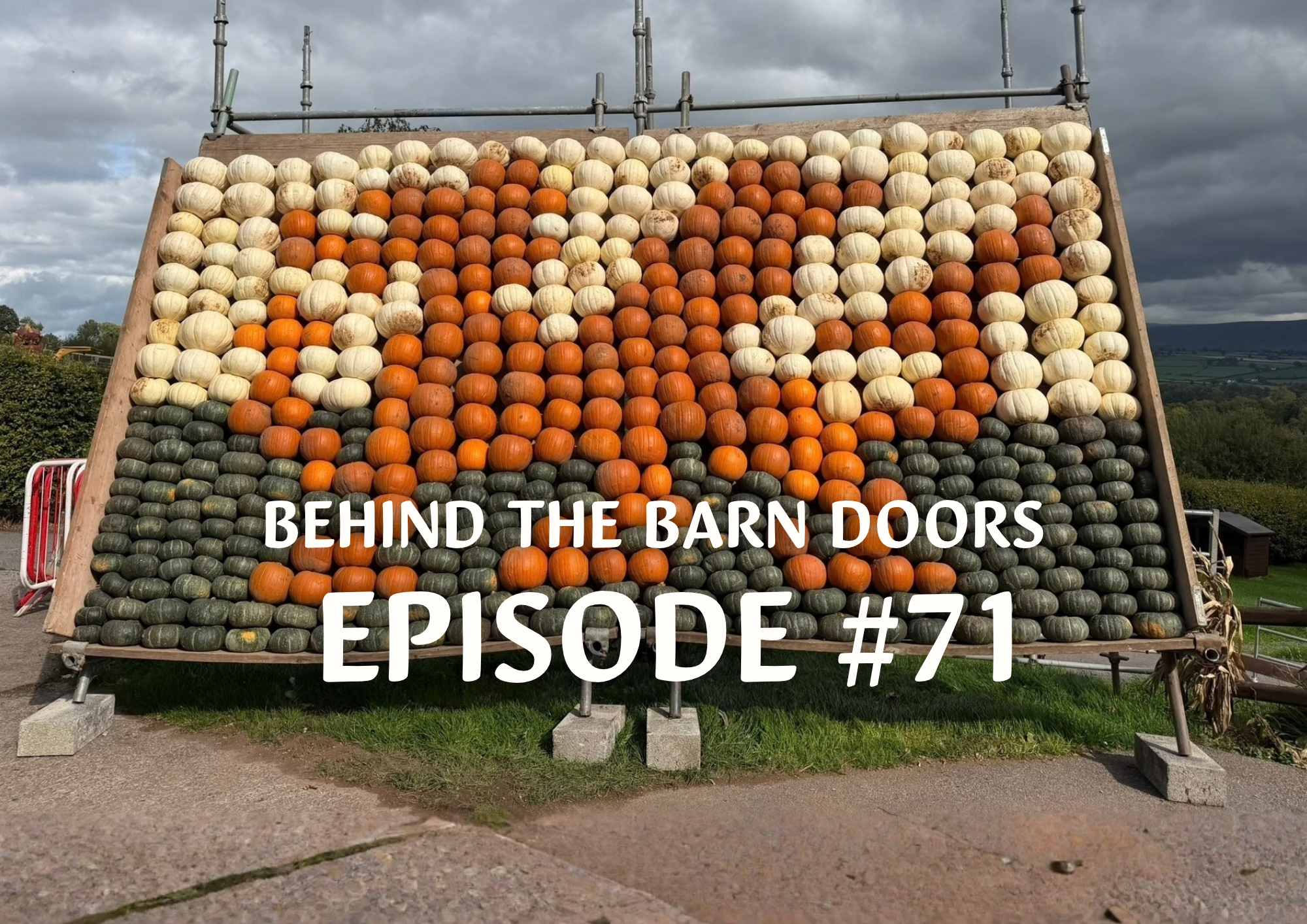 Website Behind The Barn Door Blog (46)