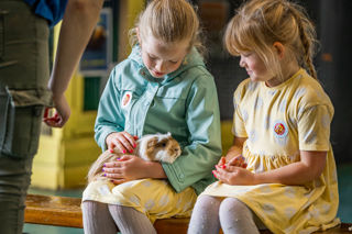 An image of a girl gently stroking a guinea pig rested on her lap, whilst another girl waits for their turn.