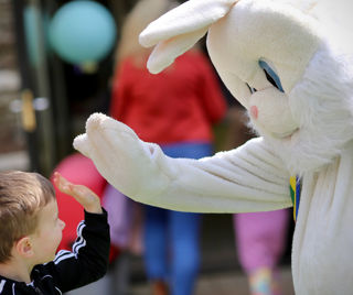 Meet the Easter Bunny at Cantref Adventure Farm