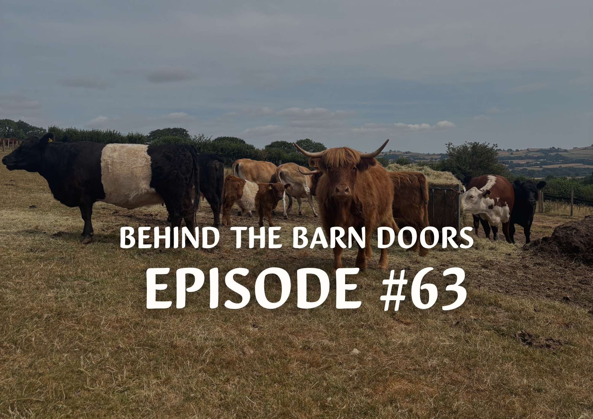 Website Behind The Barn Door Blog (39)