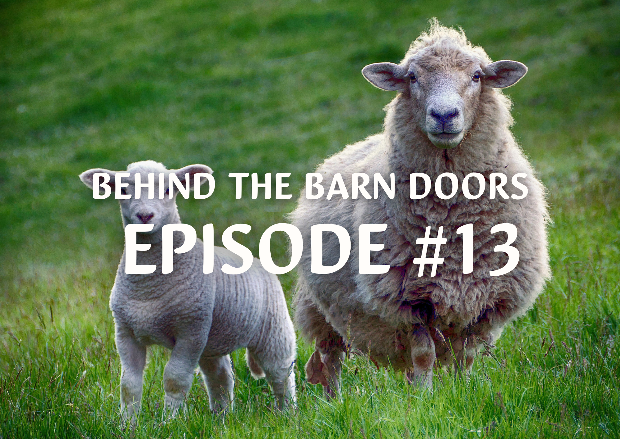 Website Behind The Barn Door Blog (3)