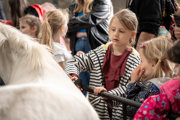 An image of a young girl grooming a white pony with a brush at Cantref Adventure Farm.