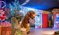 Cantref Adventure Farm Christmas Panto