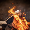 Cantref Adventure Farm Marshmallow Toasting