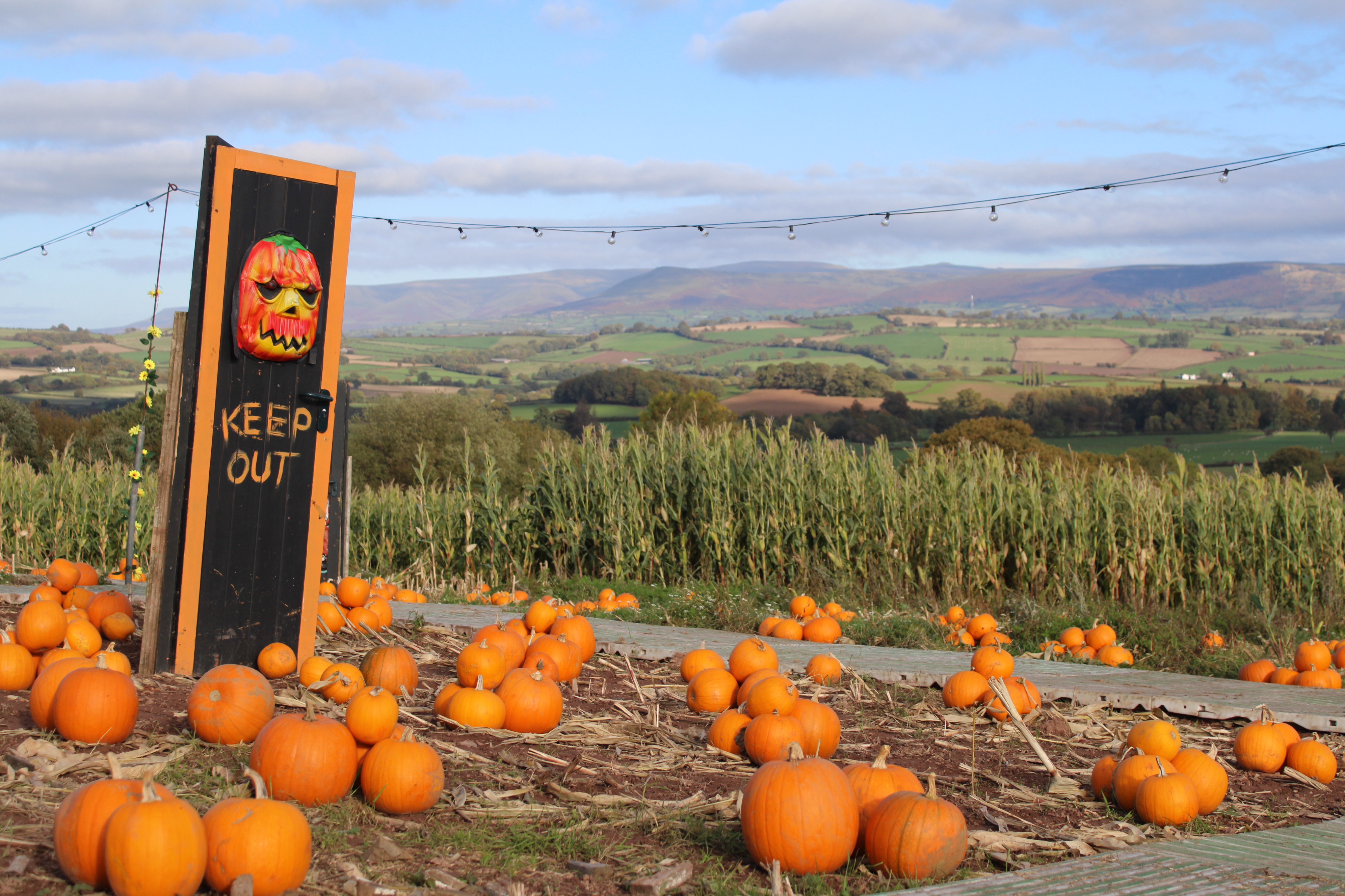 Cantref Adventure Farm Pumpkin Patch Pumpkin Festival 2026.1