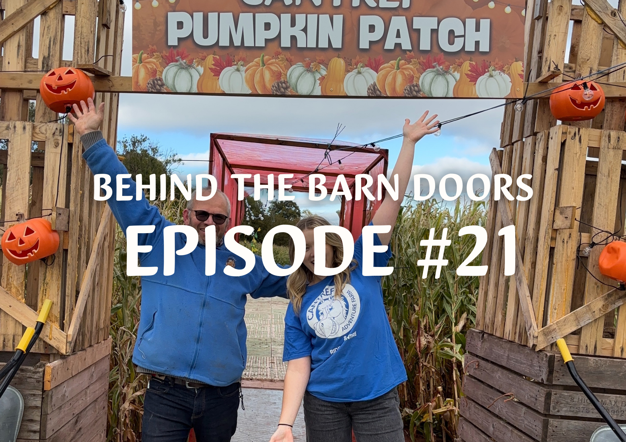 Website Behind The Barn Door Blog (11)