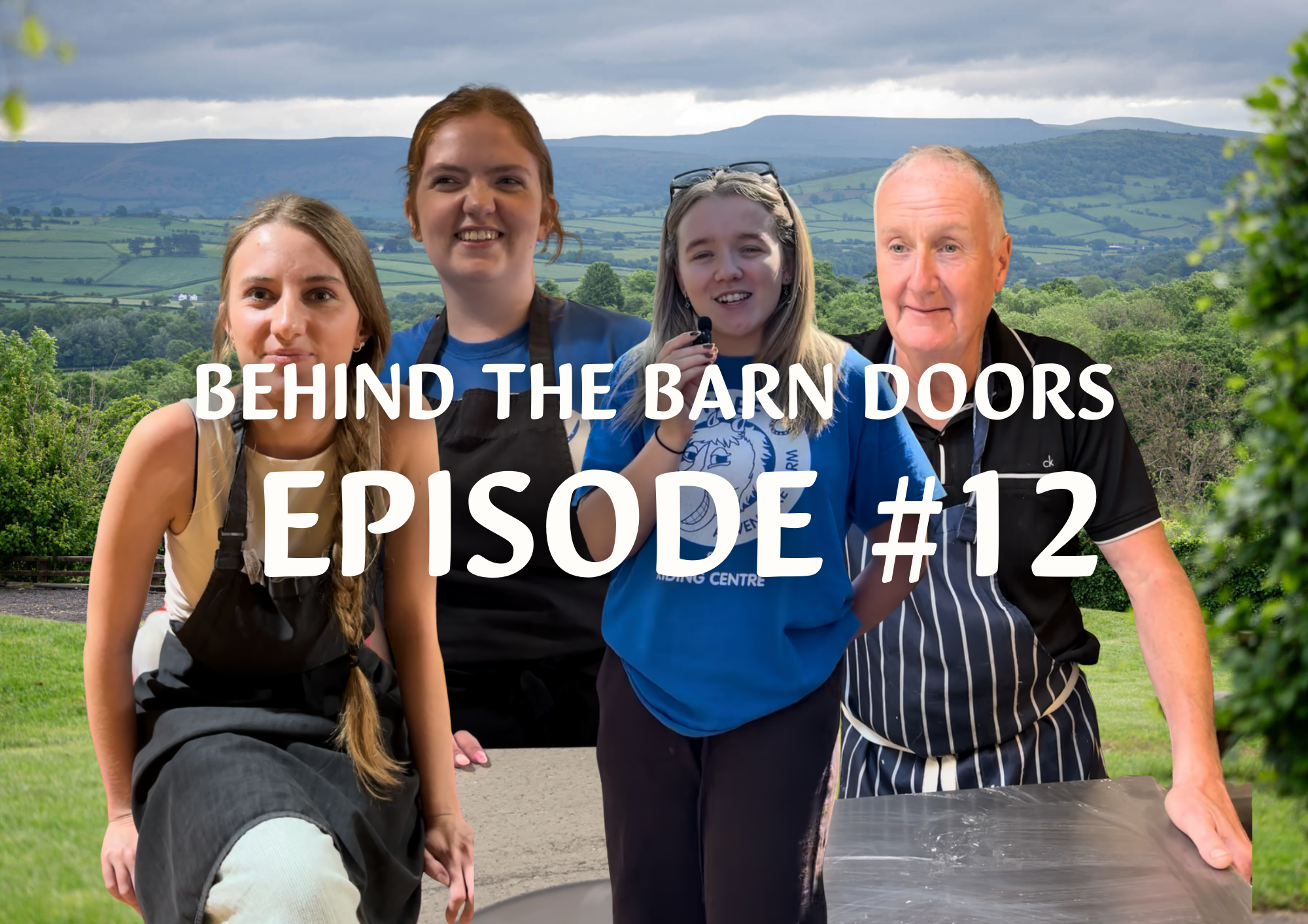 Website Behind The Barn Door Blog (1)