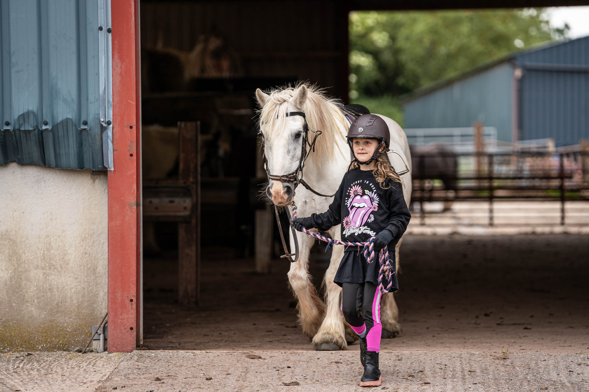 An image of a girl wearing a riding helmet, leading a small white horse out of the stable.