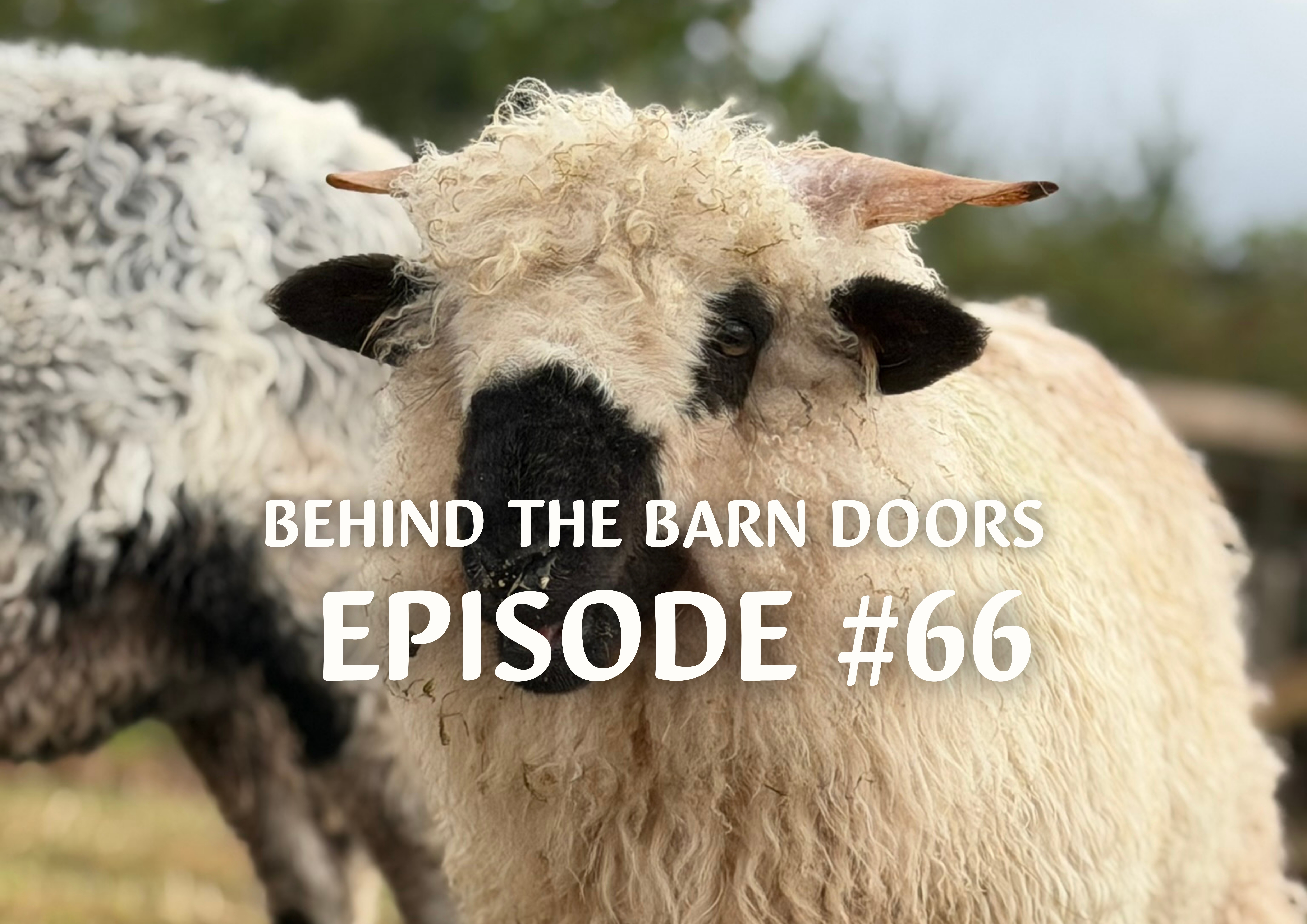 Website Behind The Barn Door Blog (41)