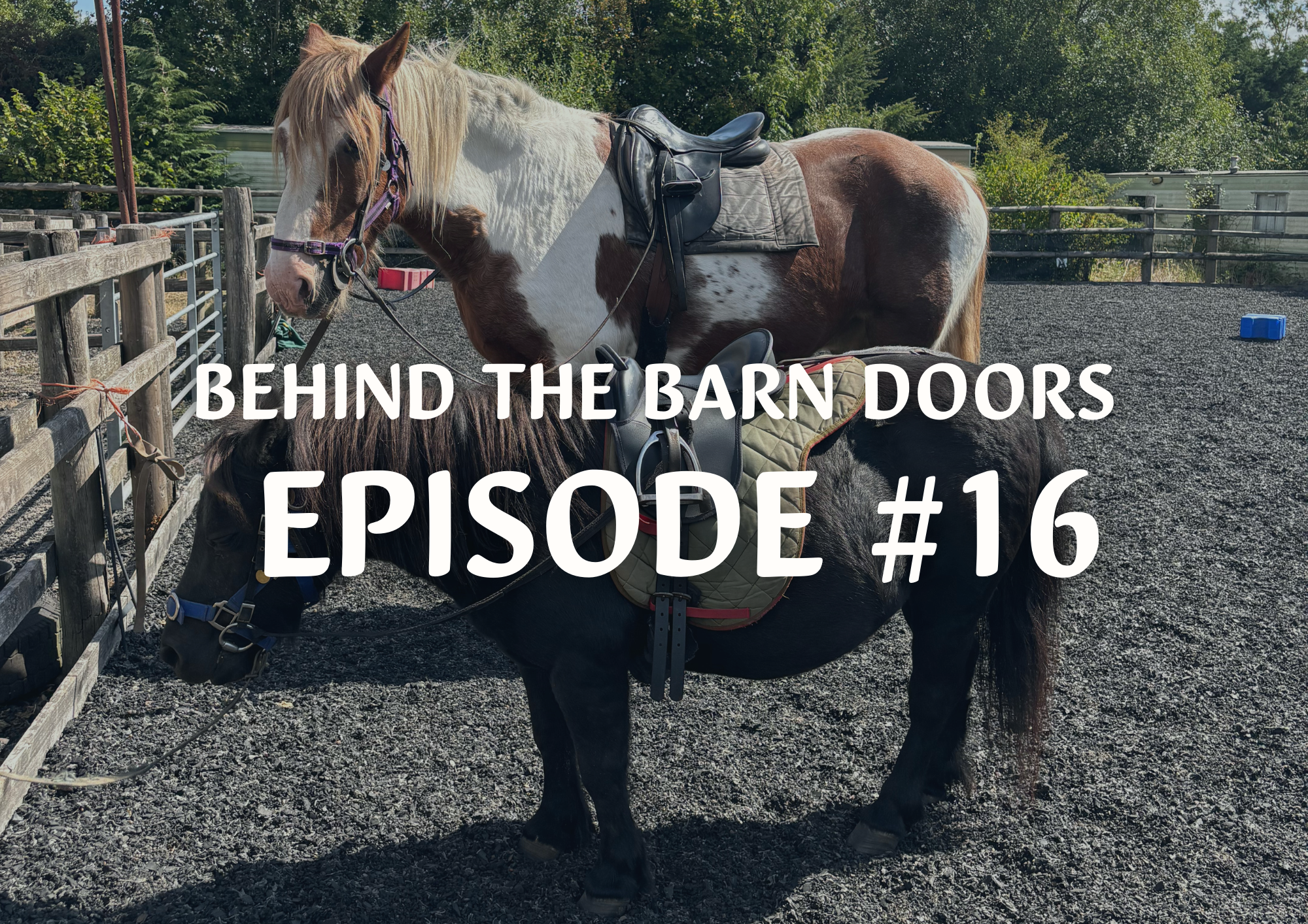 Website Behind The Barn Door Blog (6)