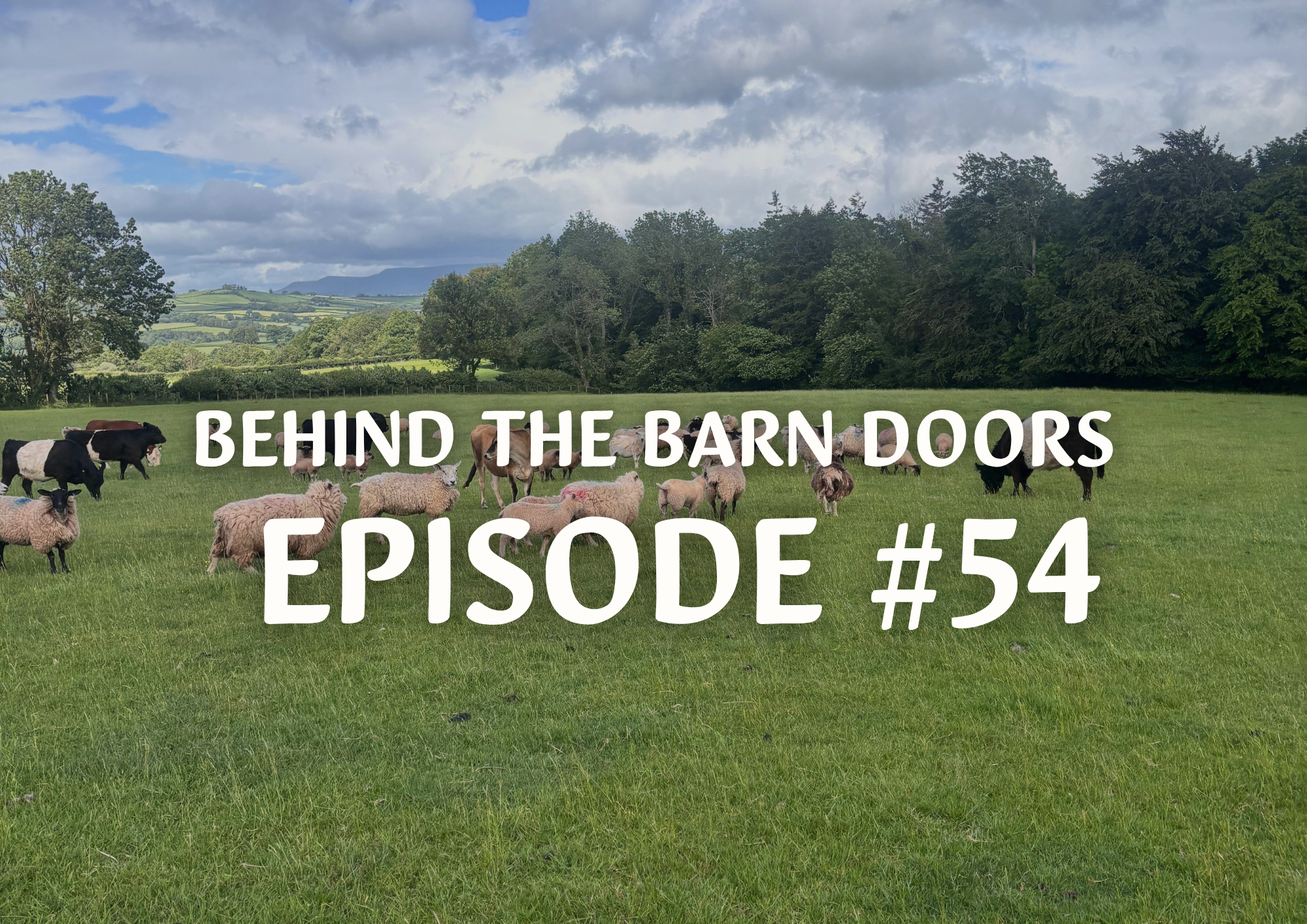 Cantref Behind The Barn Doors Episode 54