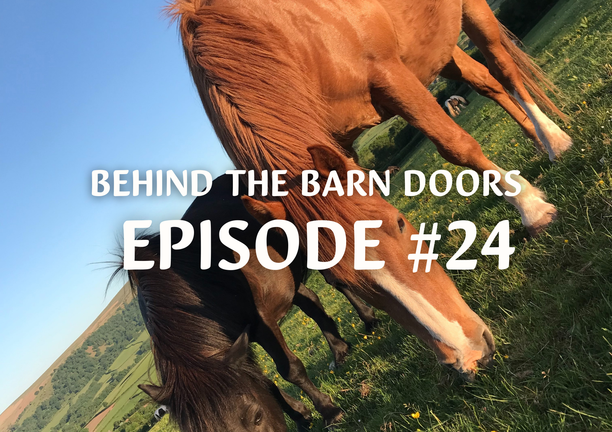 Website Behind The Barn Door Blog (14)