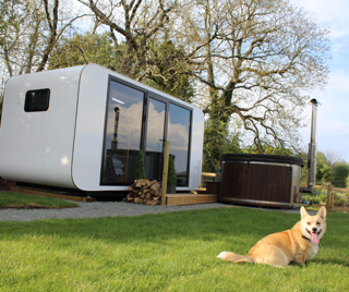 Bluebell pod outside area Cantref