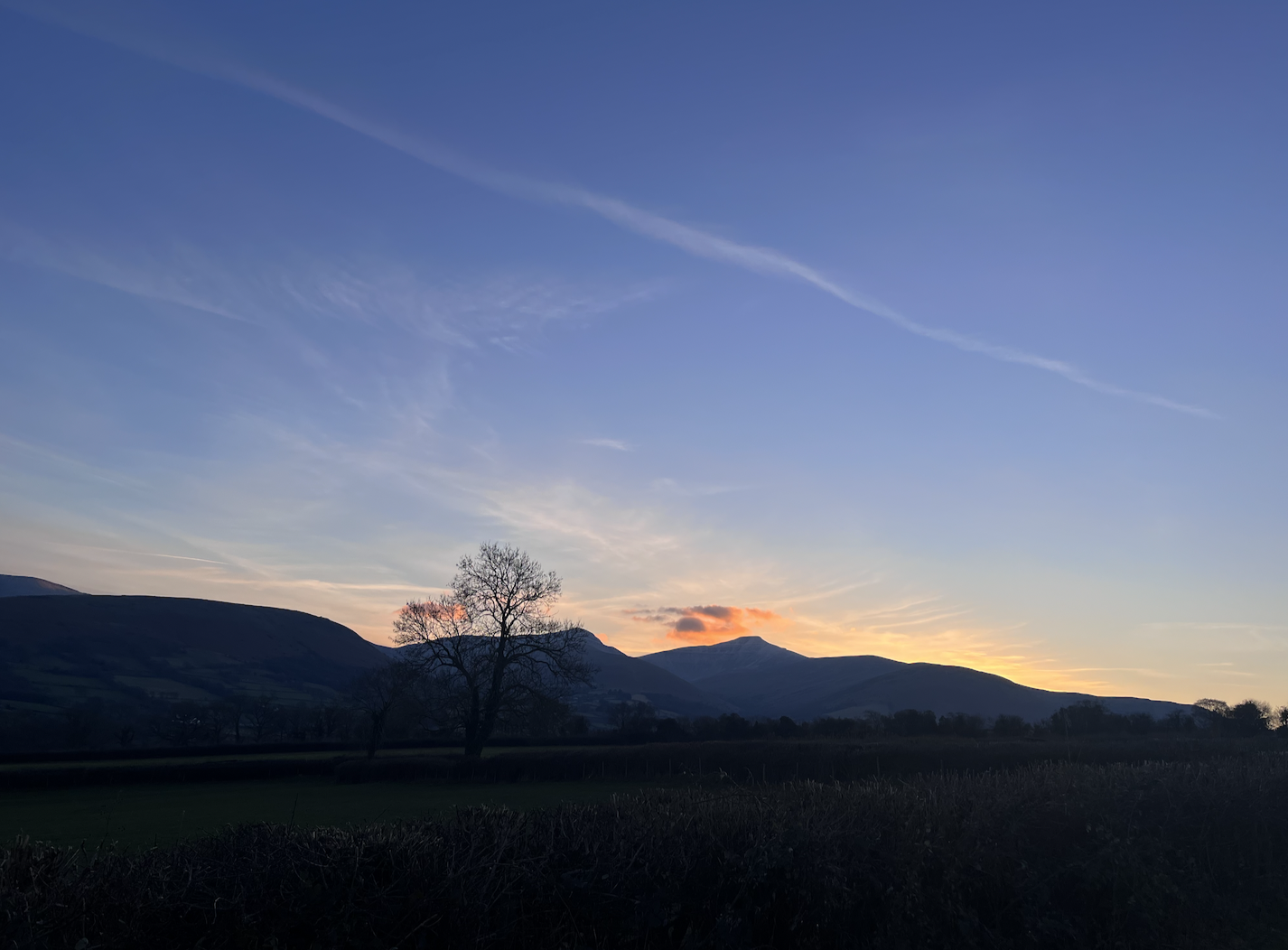 Summer Nights at Cantref Adventure Farm