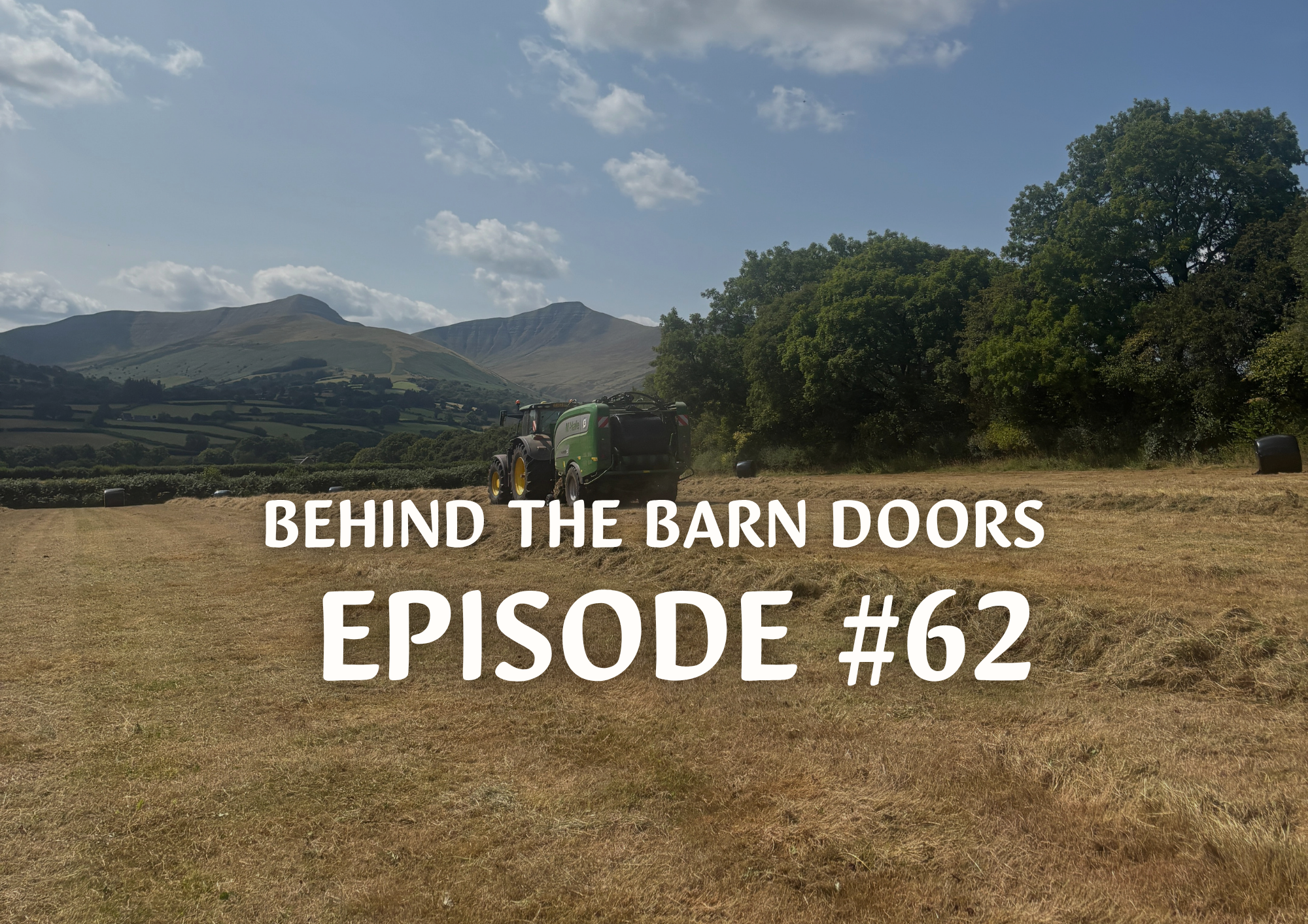 Website Behind The Barn Door Blog (38)