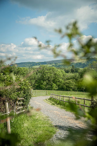 An image of a winding stone path leading straight from Cantref's campsite into the luscious green, Brecons.