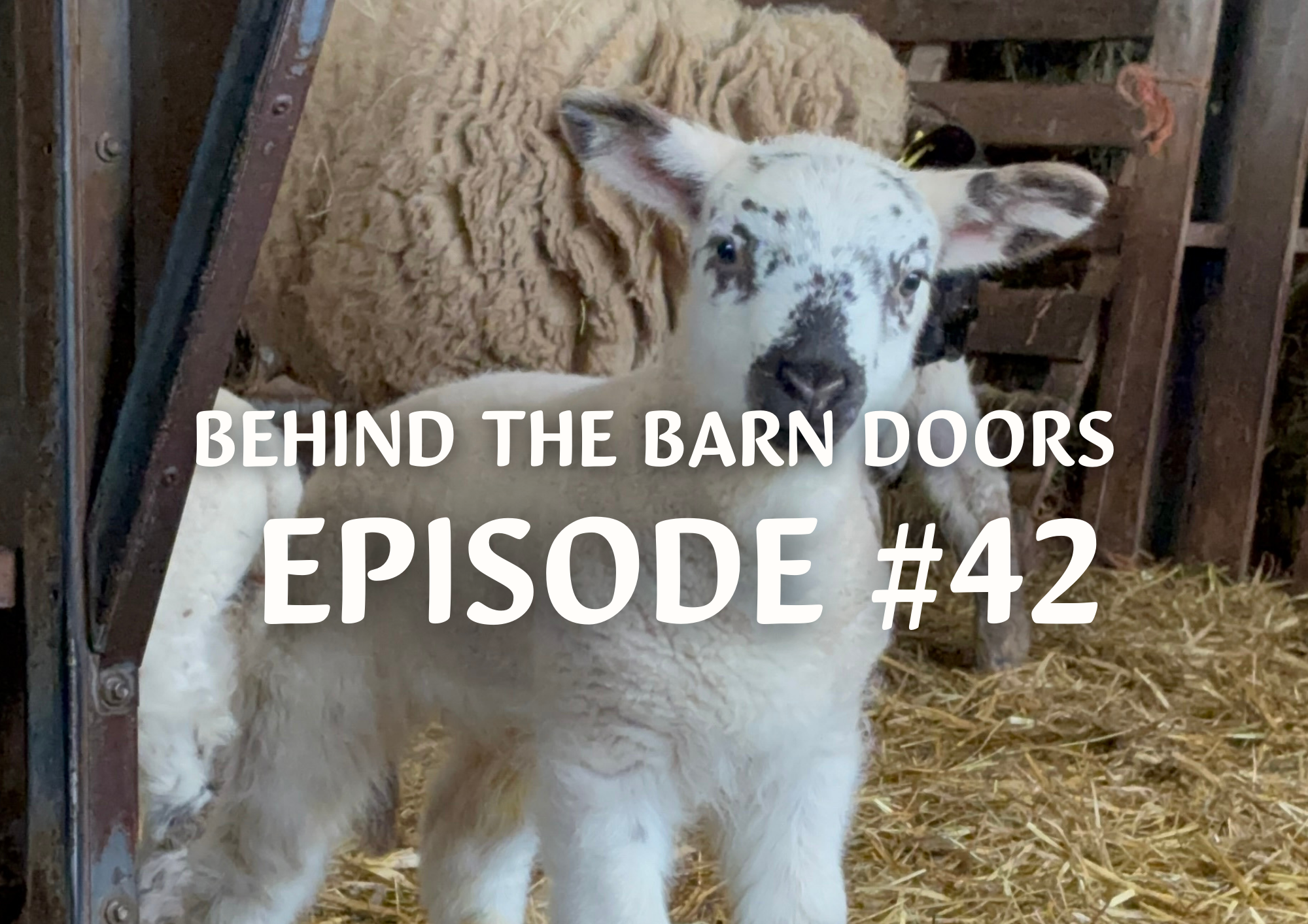 Website Behind The Barn Door Blog (32)