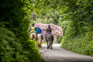 An image of the backs of riders of horseback down country road with greenery and blossom in the background.