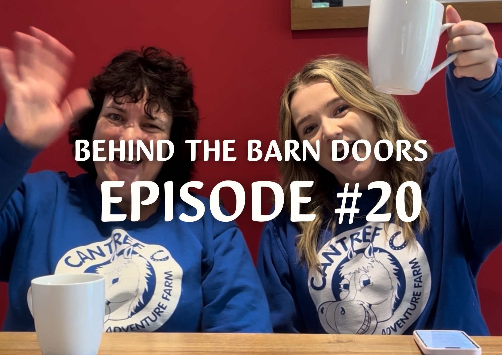 Website Behind The Barn Door Blog (10)
