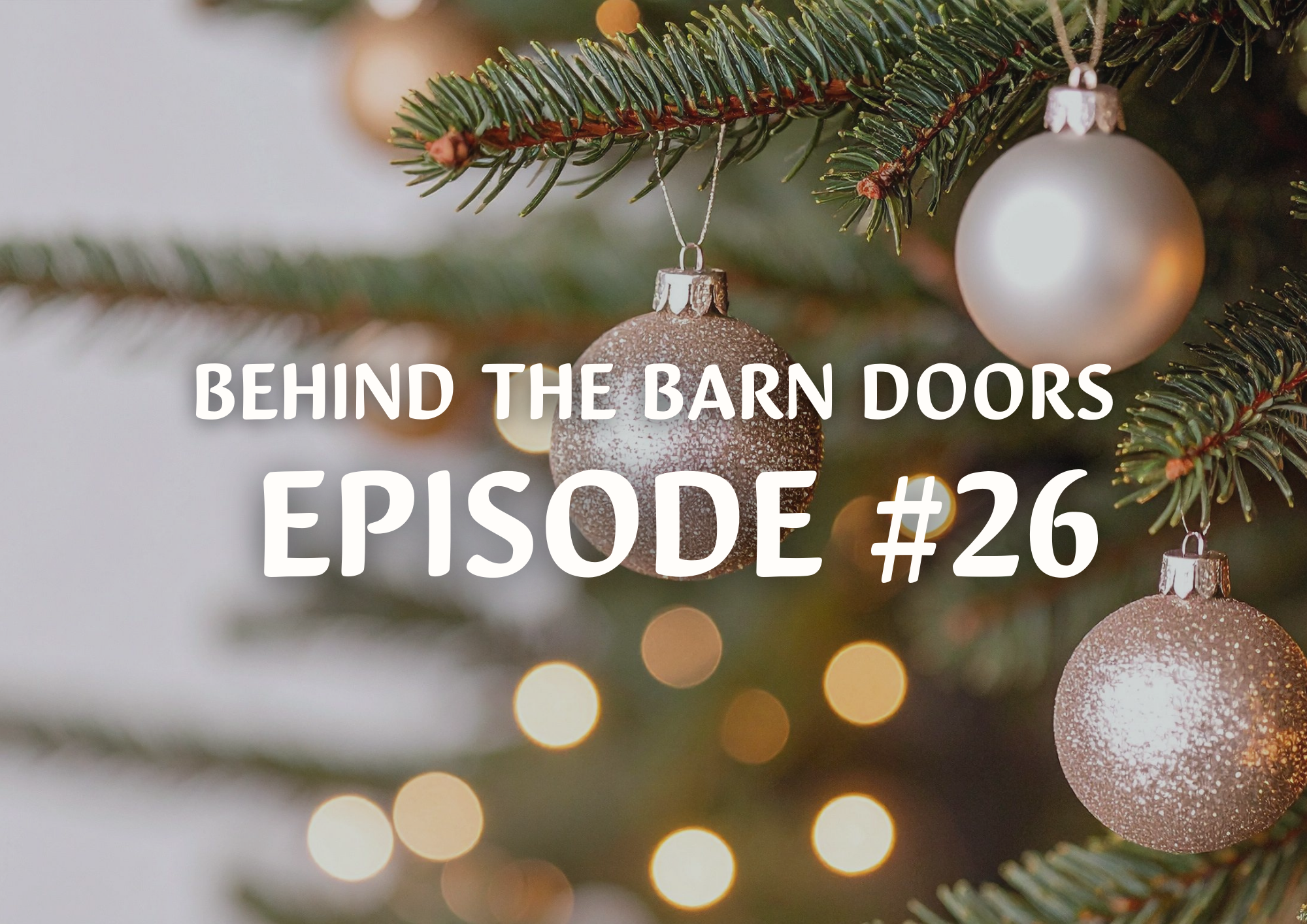 Website Behind The Barn Door Blog (17)