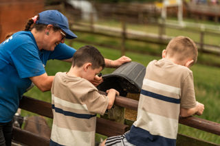 A Cantref team member dropping goat feed over the side of the viewing bridge into the troughs. The kids doing the 'Be a Keeper' VIP experience are watching the goats eating.