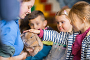 An image of a bunny being held by a team member and stroked by a child in an animal petting session.