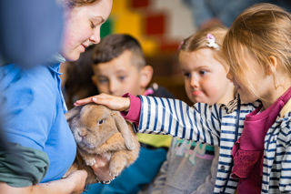 An image of a bunny being held by a team member and stroked by a child in an animal petting session.