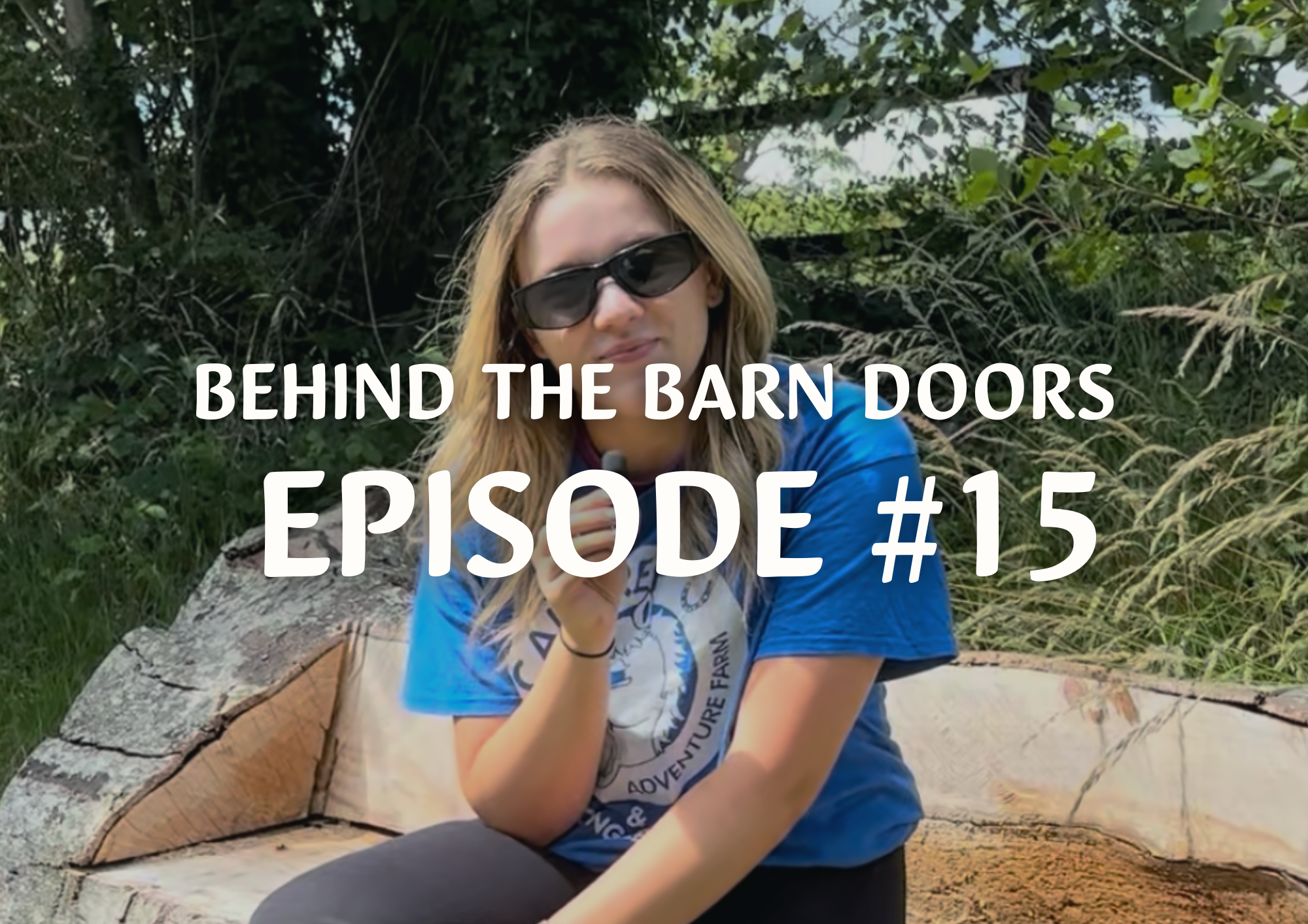 Website Behind The Barn Door Blog (5)