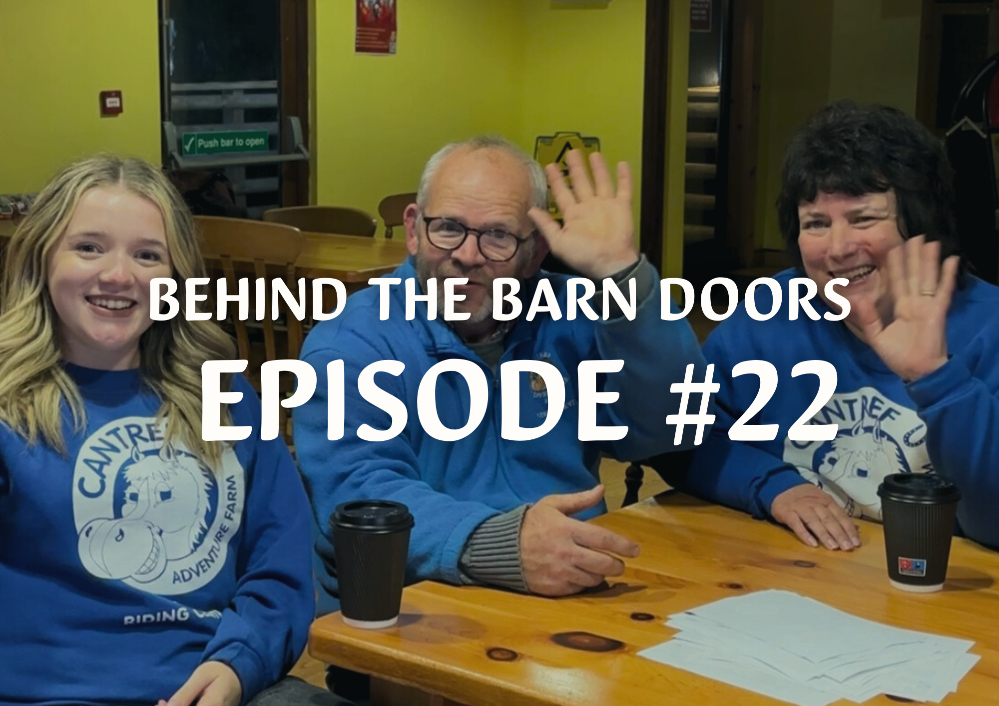 Website Behind The Barn Door Blog (12)