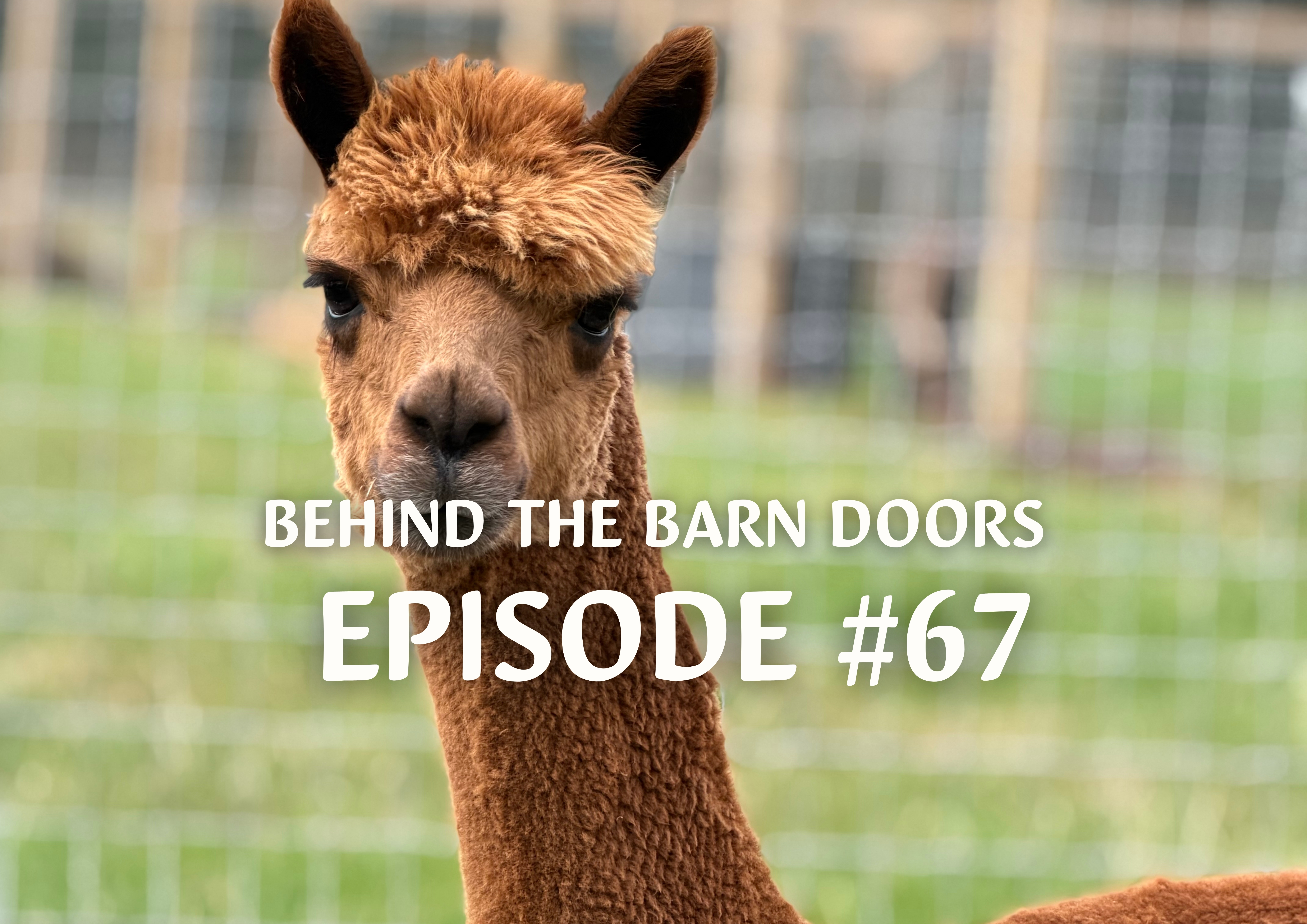 Website Behind The Barn Door Blog (42)