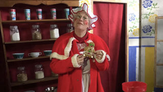 Christmas Shows and Activities at Cantref Adventure Farm