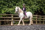 An image of a girl riding a small white horse around Cantref Riding Centre's training area.