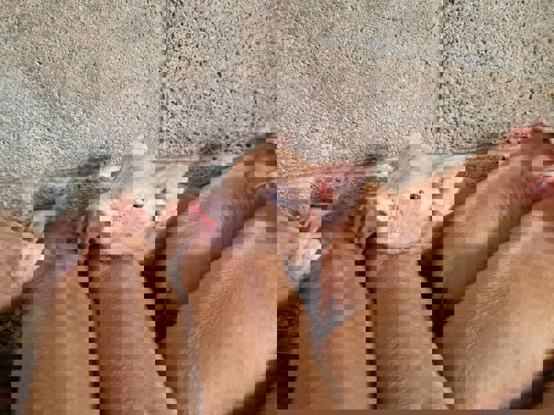 56494Efa 484E 4844 8237 85B1f1366c2e