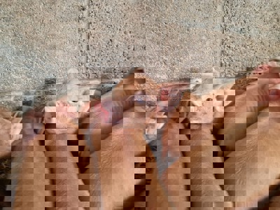 56494Efa 484E 4844 8237 85B1f1366c2e