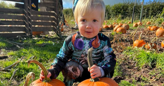 Pumpkin Patch at Cantref Adventure Farm