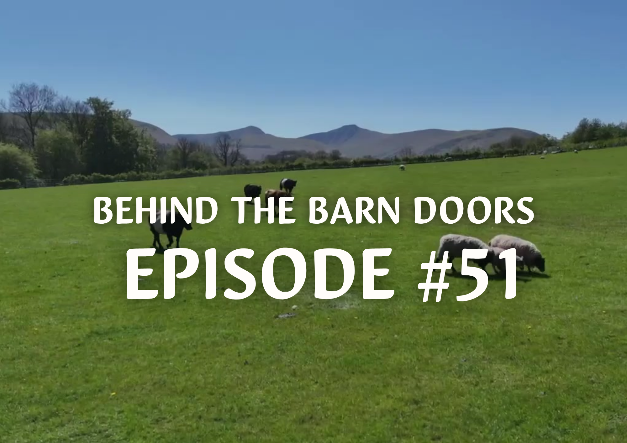 Cantref Behind The Barn Doors Episode 51