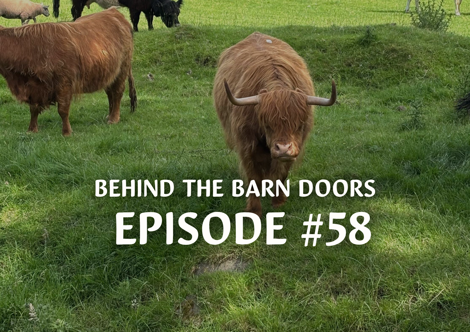 Website Behind The Barn Door Blog Episode 58.