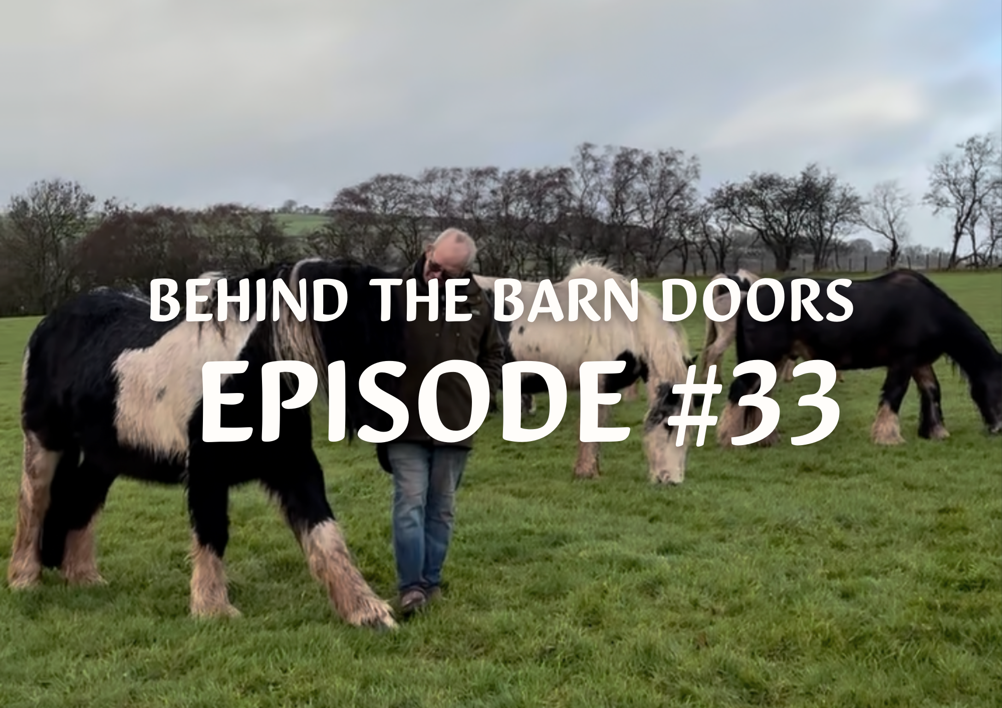 Website Behind The Barn Door Blog (24)