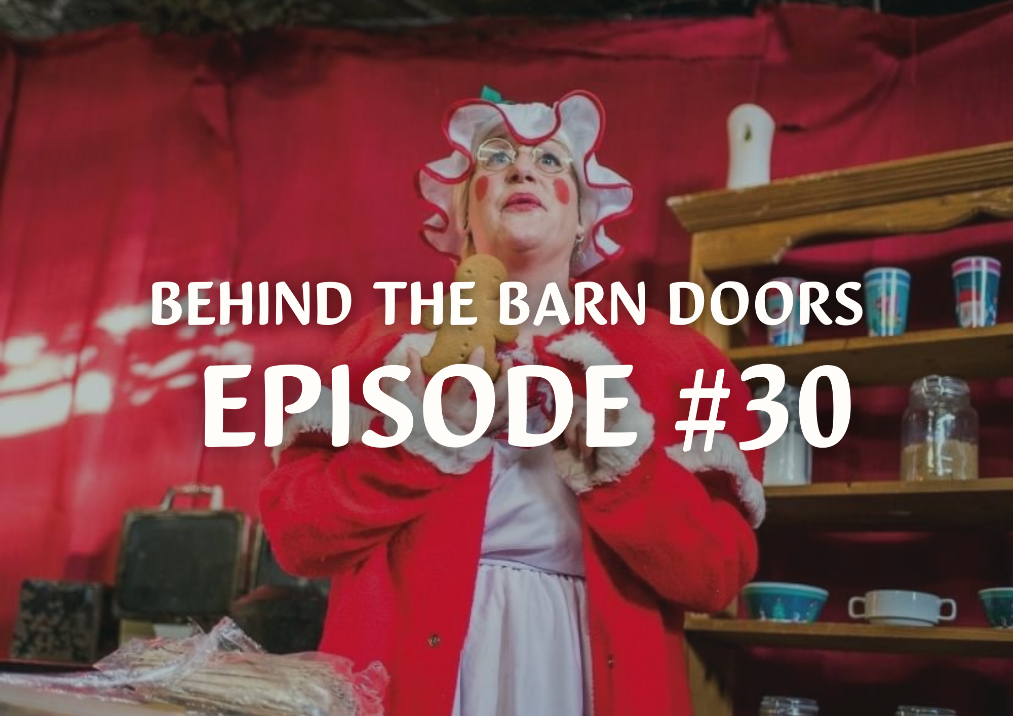 Website Behind The Barn Door Blog (21)