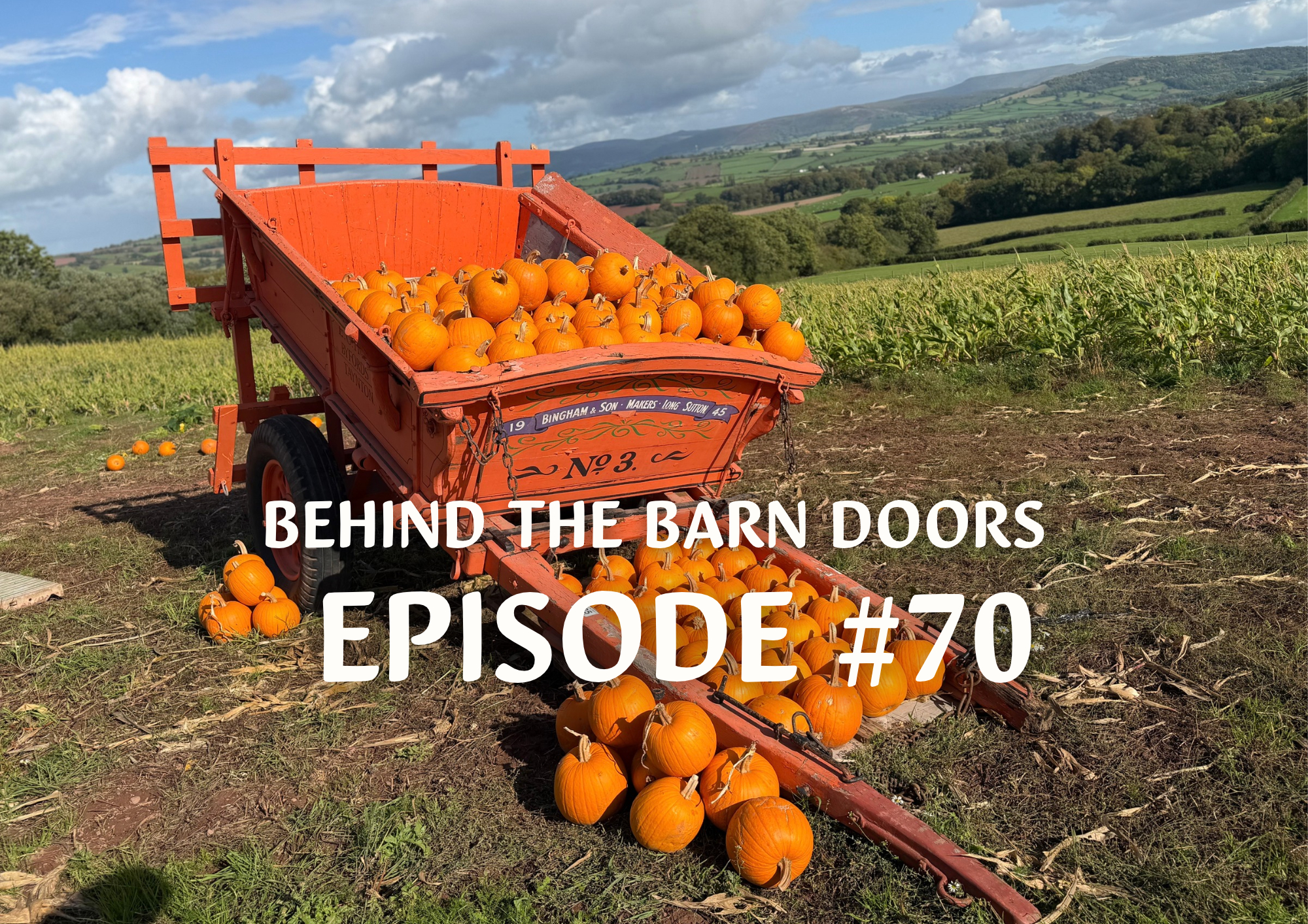 Website Behind The Barn Door Blog (44)