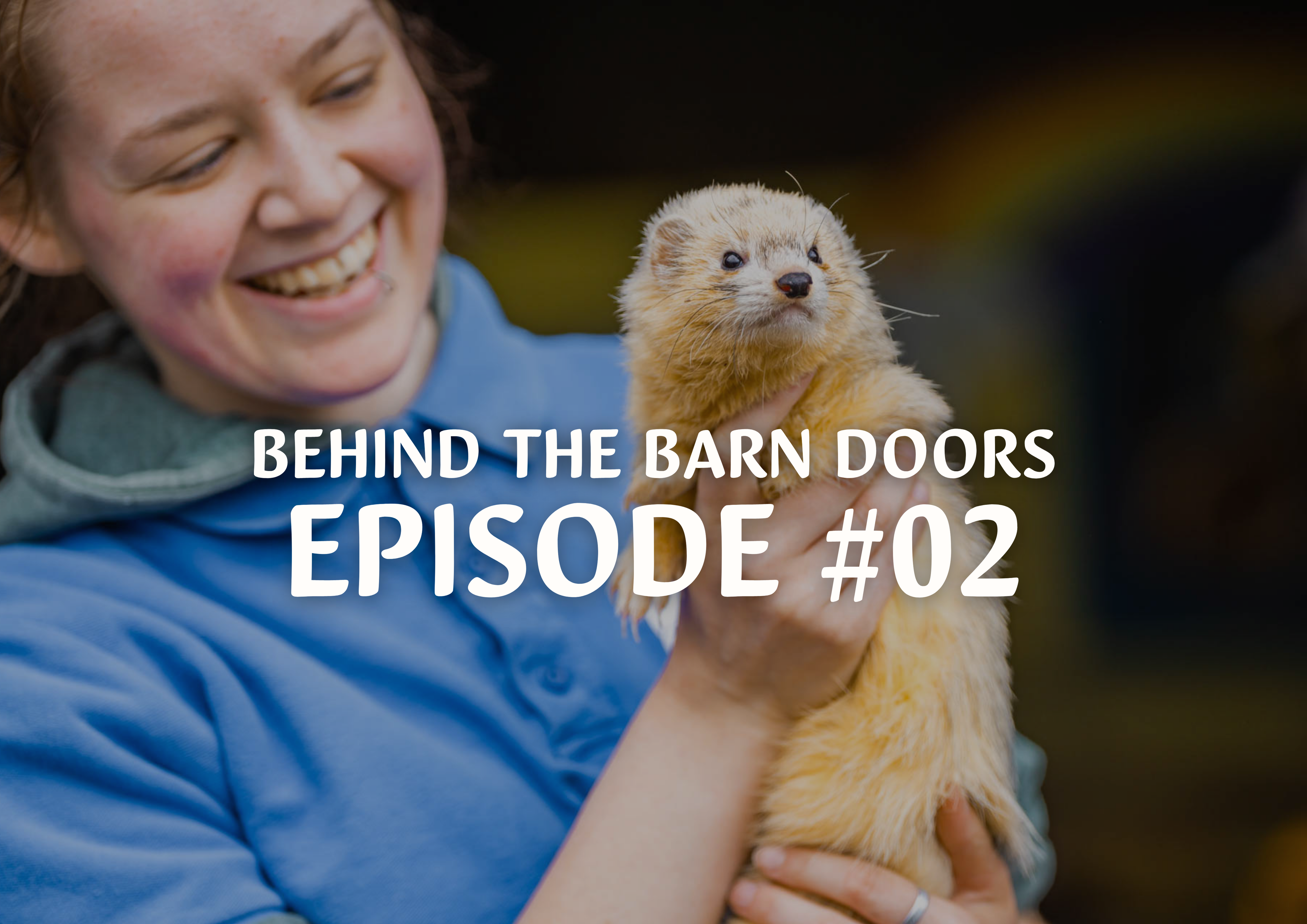 Behind The Barn Door Episode 2 Cantref