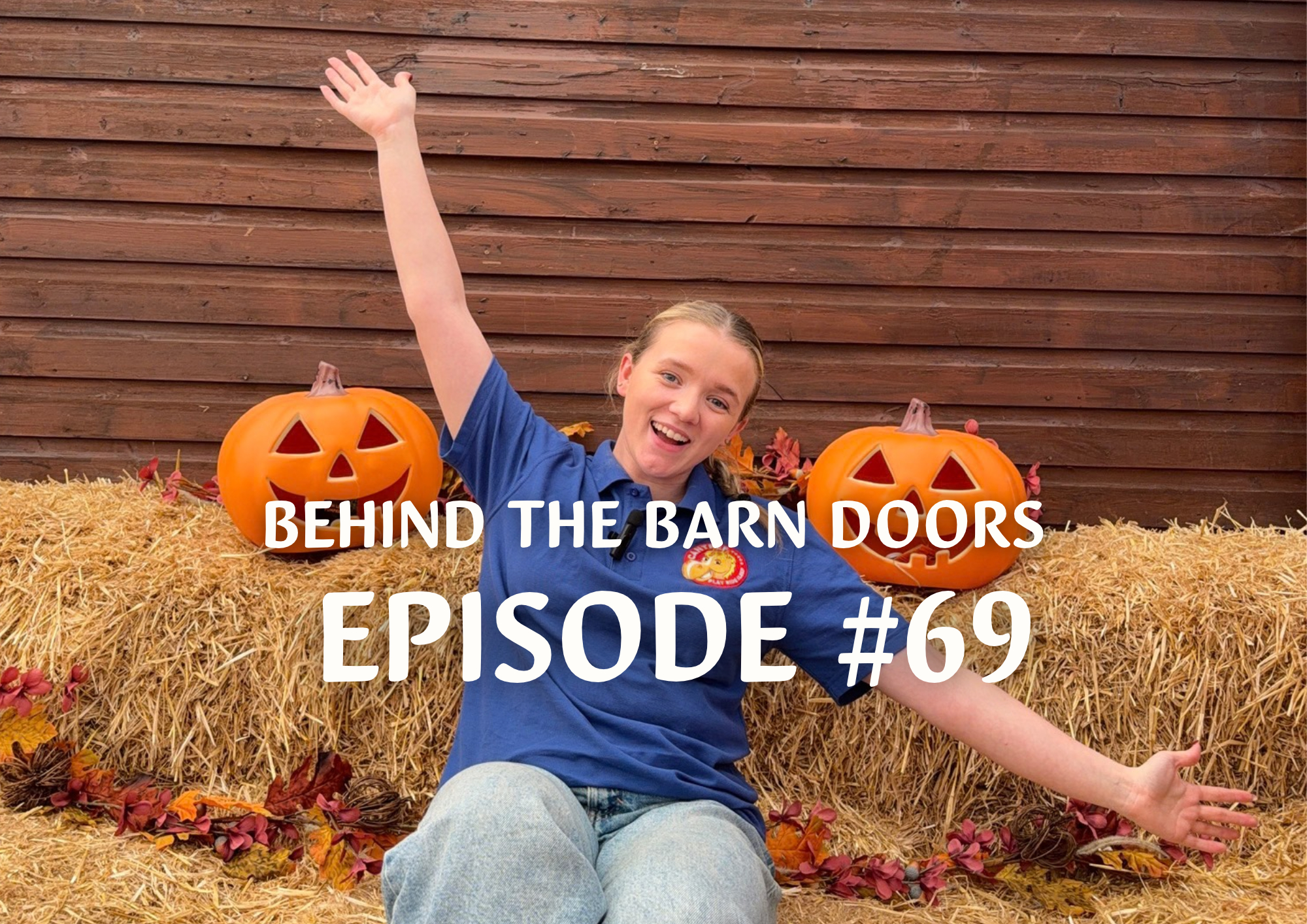 Website Behind The Barn Door Blog (43)