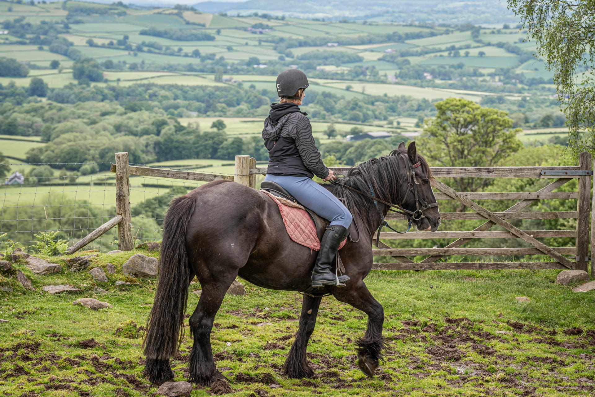 An image of a rider on horseback waiting to go through a gate and taking in the beautiful view.