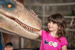 An image of a girl stroking Blue the velociraptor at Cantref Adventure Farm's dino meet and greet.