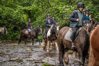 An image of a group of riders on horseback walking through a shallow stream in single file.